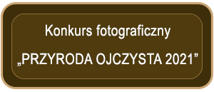 2021 Konkurs banner